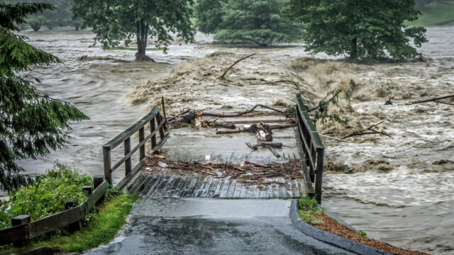 Turbulent, muddy storm waters wash out a road and bridge during a hurricane, rising high up tree trunks and scattering large pieces of debris across the landscape